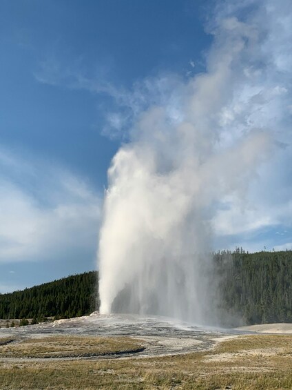 A geyser erupting with steam and water in a dry, grassy field with a forested hill in the background. 4
