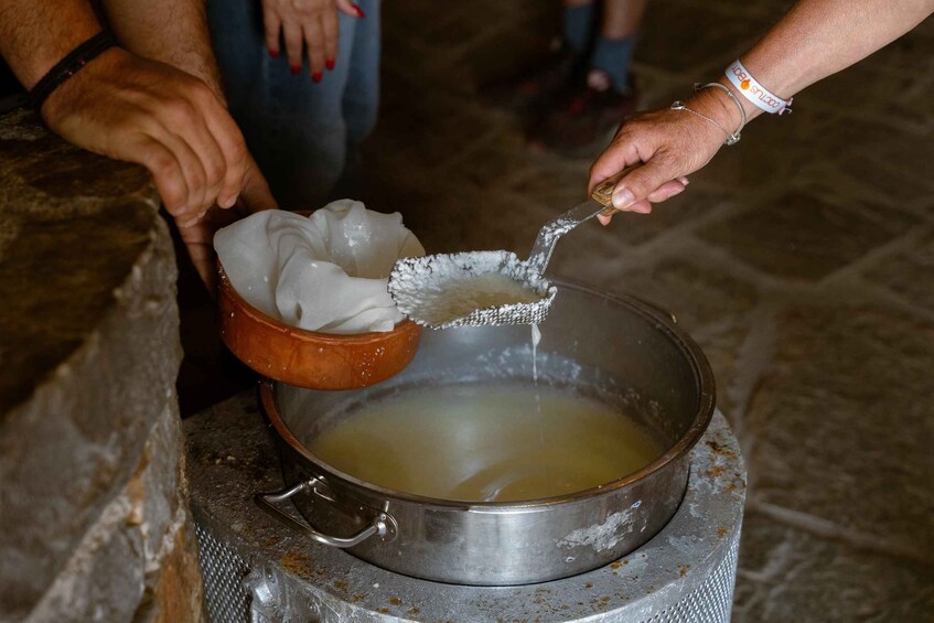 Picture 26 for Activity Crete Shepherd Experience: Farm Life & Milking Goats 4