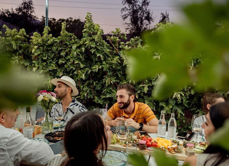 A group of people dining outdoors with a table full of food and drinks, surrounded by greenery. 4