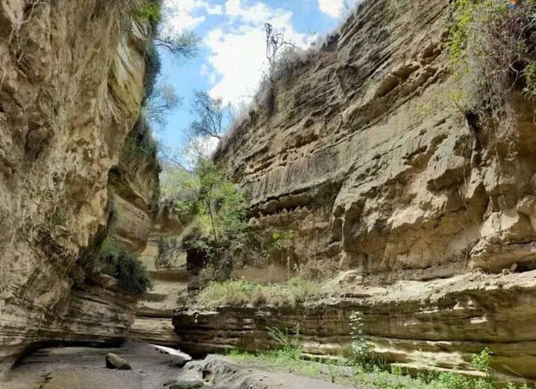 Picture 8 for Activity Nairobi: Hells Gate National Park and Geothermal Spa Entry 5