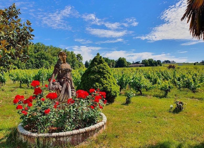 Picture 7 for Activity Château Champion: Picnic at the winemaker's 4
