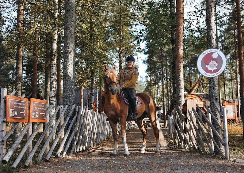 A person riding a horse on a dirt path surrounded by trees. 3