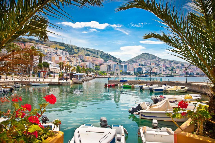 A marina with boats docked, a cityscape in the background, and palm trees in the foreground. 1