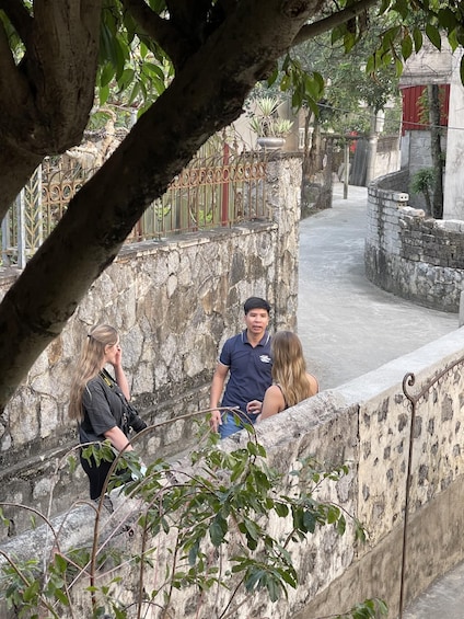 A stone wall with a metal gate, a tree, and a building with a red window in the background. 3