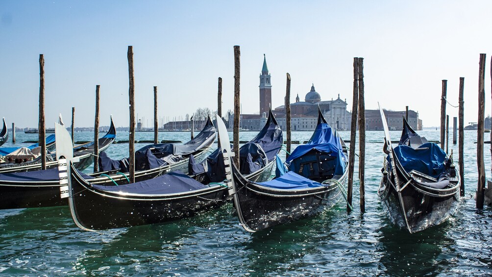 Walking Guided Tour & Gondola Ride 