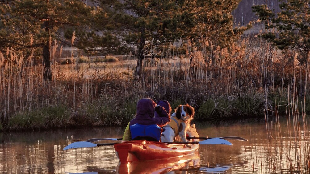Two people in a red kayak paddling through a marshy area with tall grasses and trees in the background. 1