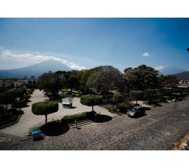 A park with trees, a bench, and a mountain in the background. 4