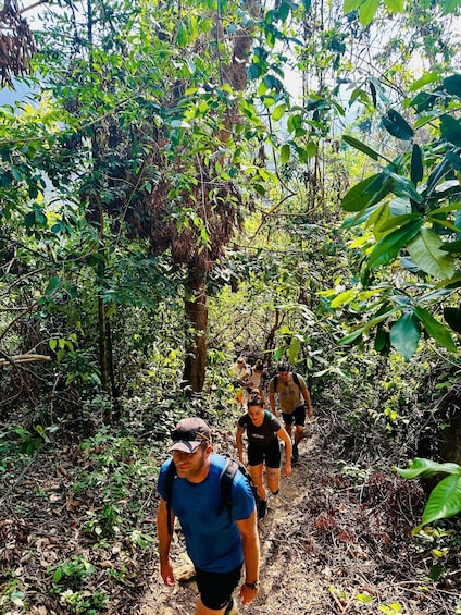 Picture 4 for Activity Full-Day Trekking, Biking Explore Cat Ba National Park 2