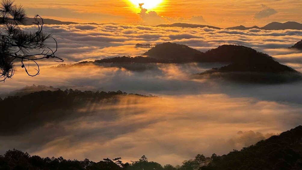 Picture 5 for Activity Da Lat: Cloud Hunting & Sunrise Trekking to Hon Bo Peak 4