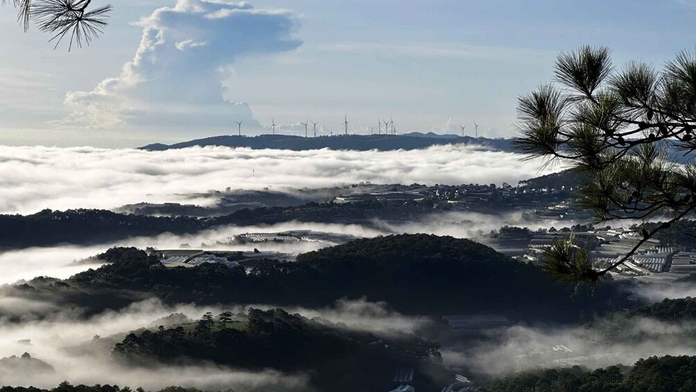 Picture 10 for Activity Da Lat: Cloud Hunting & Sunrise Trekking to Hon Bo Peak 3