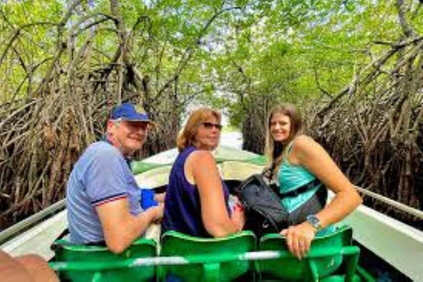 Three people in a boat surrounded by mangrove trees. 3