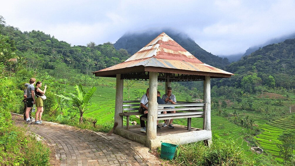 A rustic gazebo on a terraced hillside with lush greenery and a misty mountain backdrop. 5