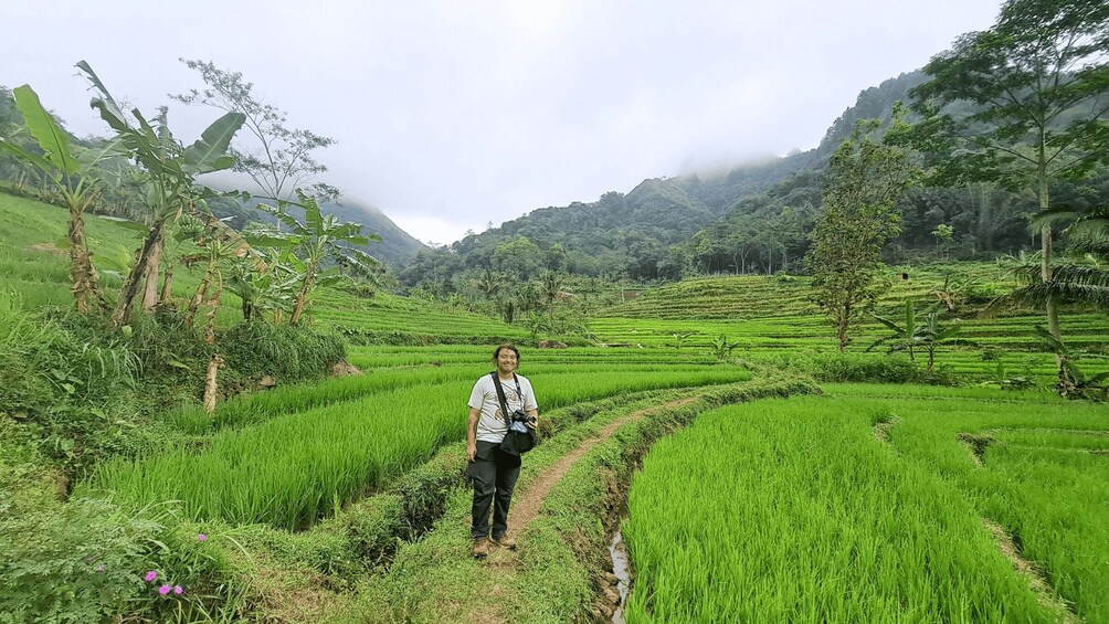 A person standing in a lush green rice paddy with terraced fields and banana trees in the background. 4
