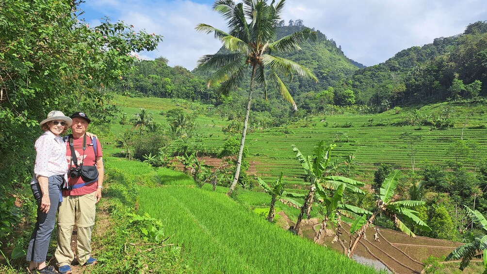 A couple standing in a lush green landscape with terraced fields and a palm tree. 5