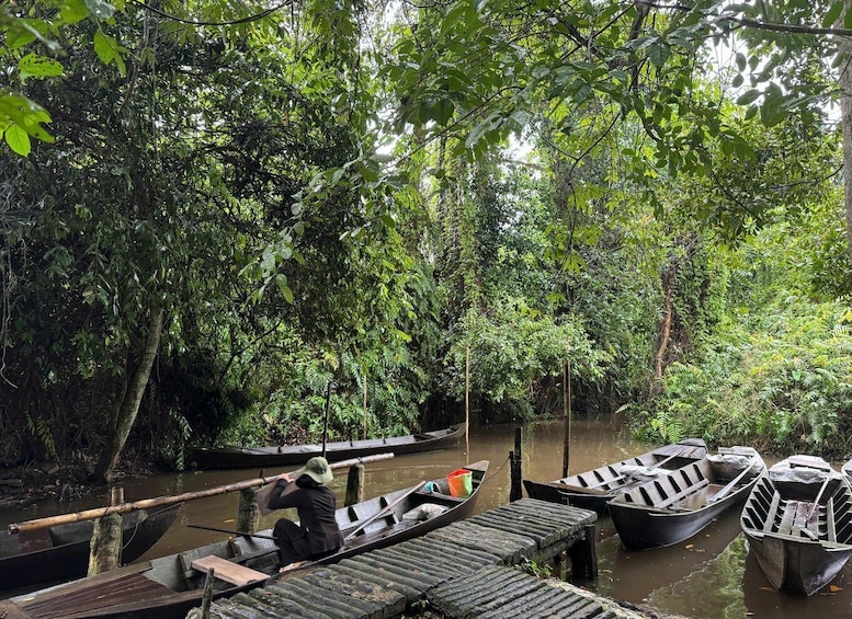 Picture 11 for Activity HCM: Authentic Dong Thap Mekong Delta Day Trip & Boat Ride 4