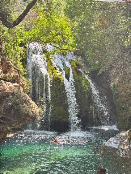 Picture 11 for Activity Chefchaouen: Akchour Waterfalls & Bridge of God Day Trip 3