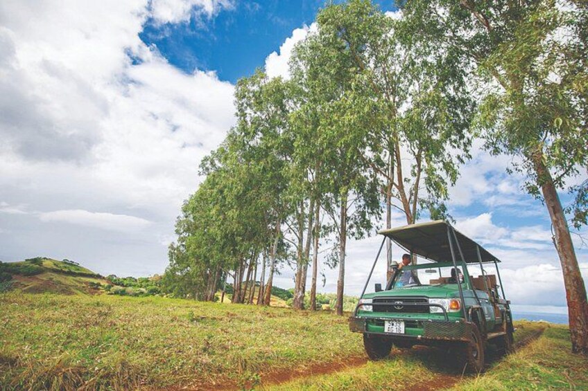 Bel Ombre 4X4 Safari Adventure 5