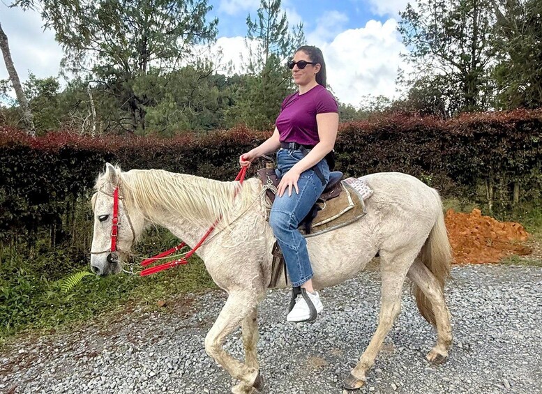 Picture 20 for Activity 2-hour horseback ride + Private transportation + Photos & videos + Gift for the first 5 to book. 2
