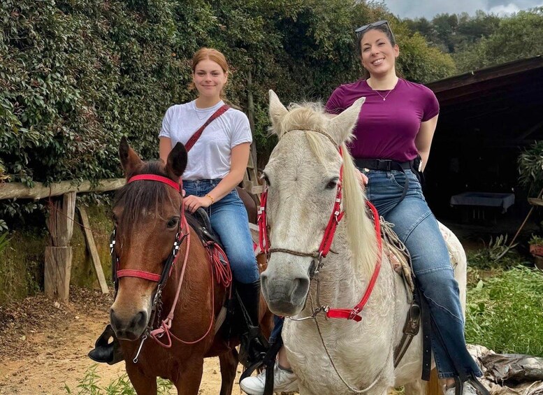 Picture 22 for Activity 2-hour horseback ride + Private transportation + Photos & videos + Gift for the first 5 to book. 4