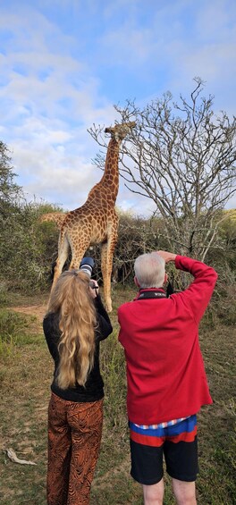 Picture 22 for Activity Addo Wildlife Experience: Giraffe Walk & Game Drive 4