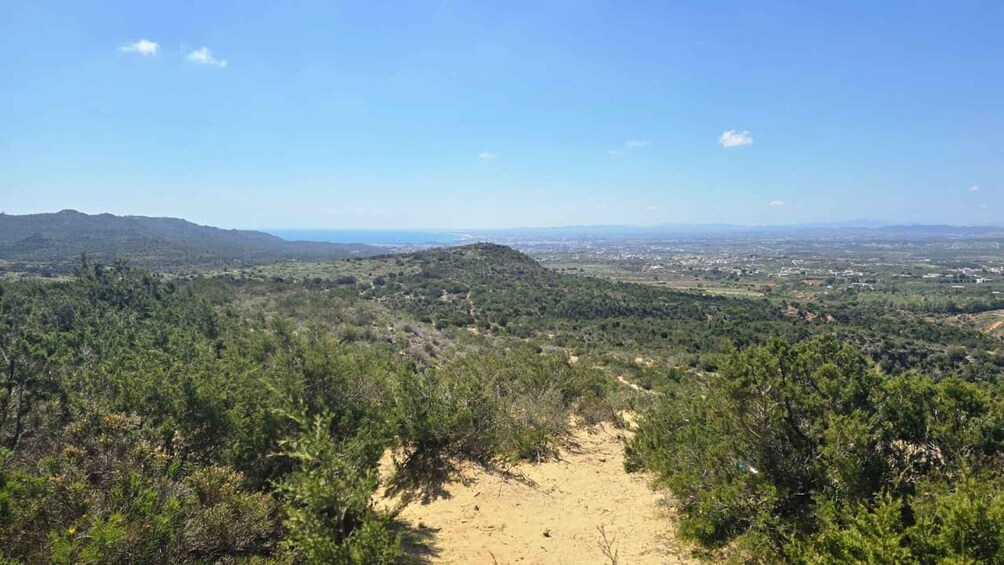 A mountainous landscape with a dirt path leading through dense vegetation. 4