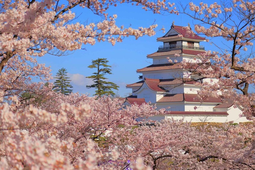 Picture 8 for Activity Fukushima: Samurai Ethics and Daily Life in Aizu 4