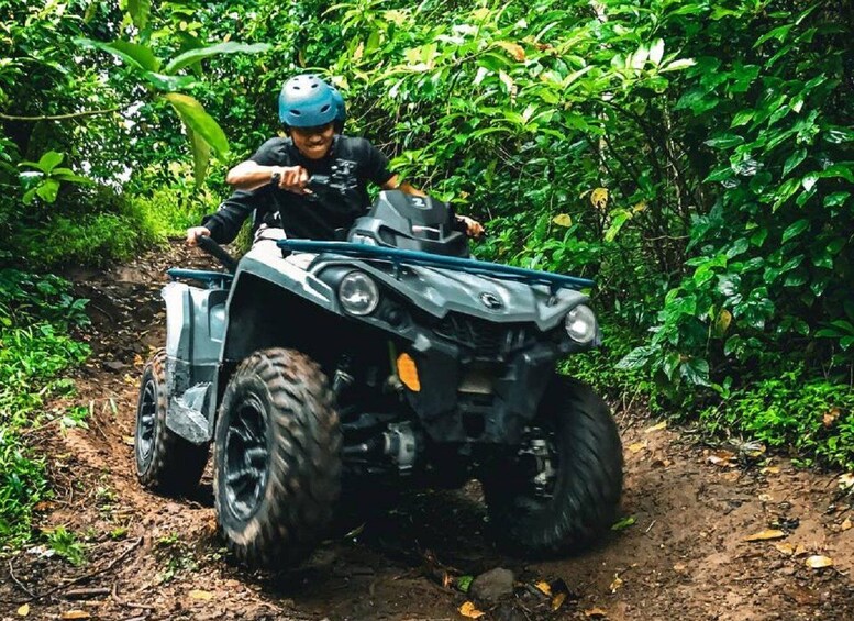 Eine Person fährt mit einem Quad auf einem Feldweg, umgeben von dichtem Grün. 1