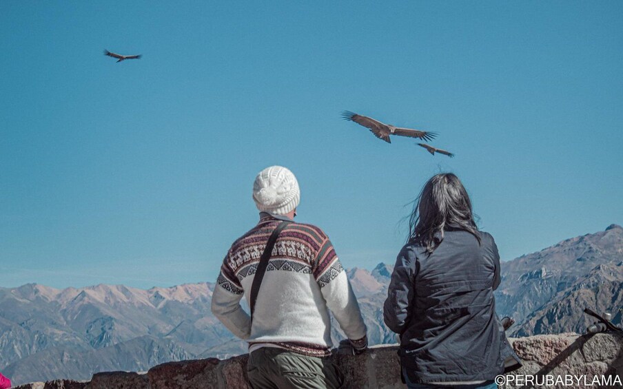 Two people observing birds flying over a mountainous landscape. 1