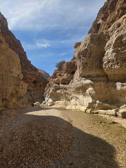 Picture 8 for Activity From Muscat: Wadi Shab Expedition 4
