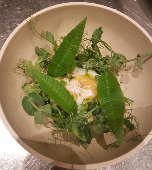 A bowl with a poached egg, green leaves, and herbs. 1