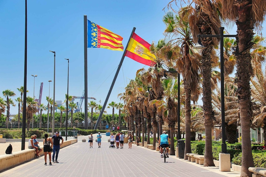 A promenade lined with palm trees and flags, with people walking and cycling. 3