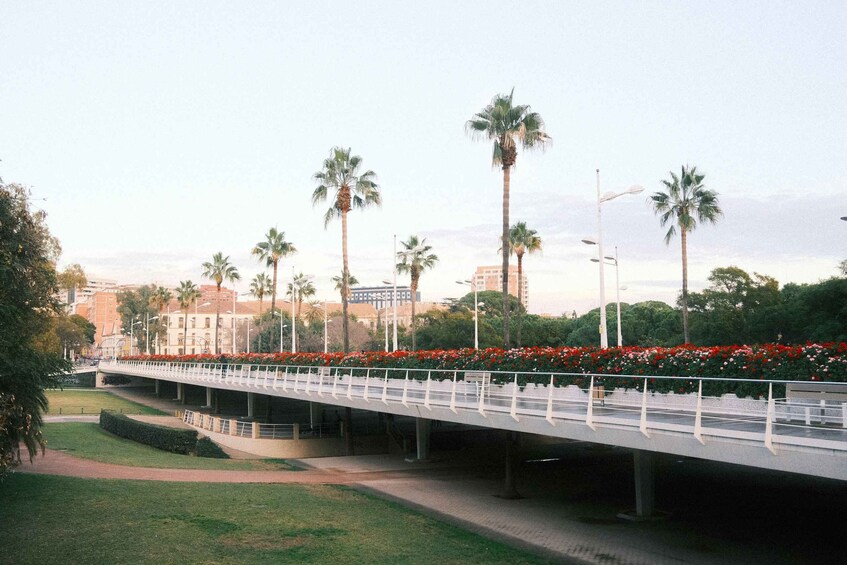 A pedestrian bridge with red flowers, palm trees, and a cityscape in the background. 5