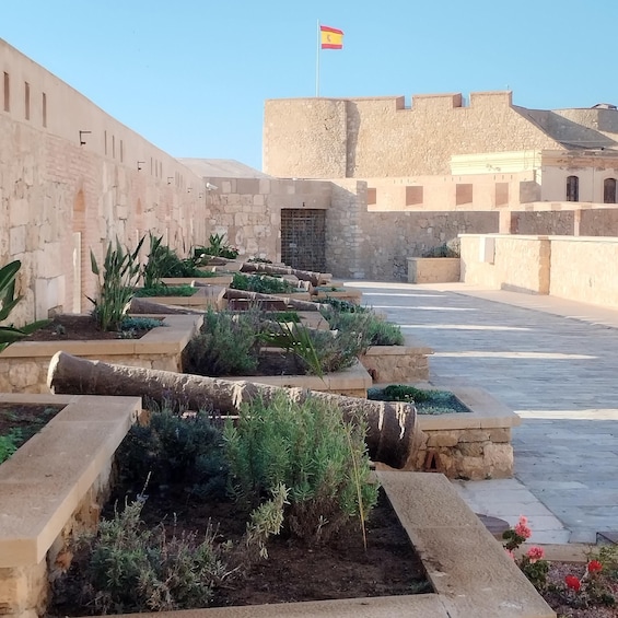 A courtyard with stone walls, a flag, and a variety of plants. 2