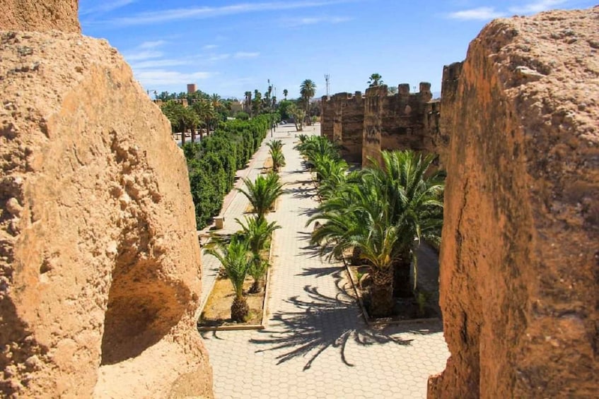 A pathway flanked by large rock structures, lined with palm trees and a clear blue sky. 4