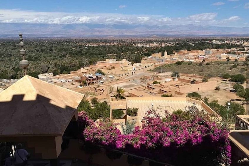 A town with traditional architecture and bougainvillea flowers. 2