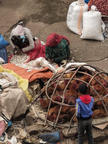 People sorting grains, chickens in a wire cage, and sacks of goods on a dirt ground. 3