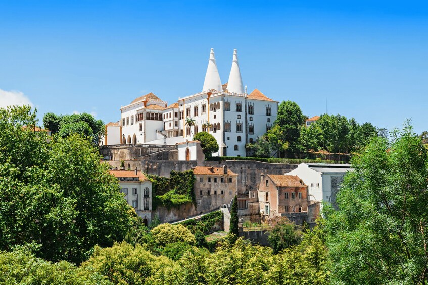 A historic building with two prominent towers, surrounded by lush greenery and other buildings. 3