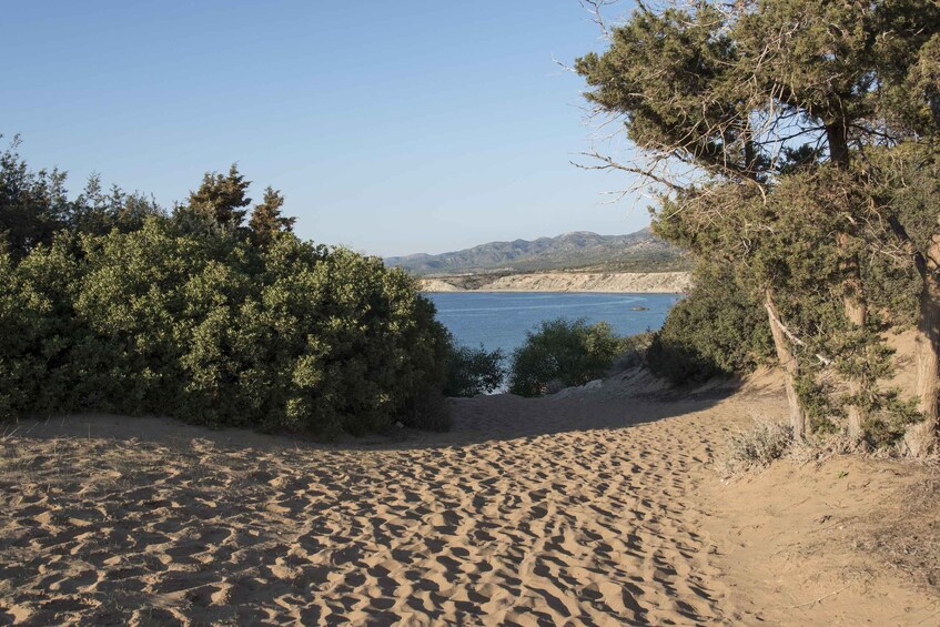 A sandy beach with trees and a clear view of the sea and distant mountains. 4
