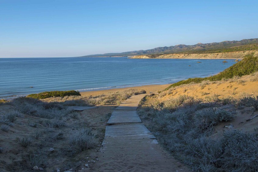 A coastal path leading to a beach with dunes and a clear view of the ocean. 2