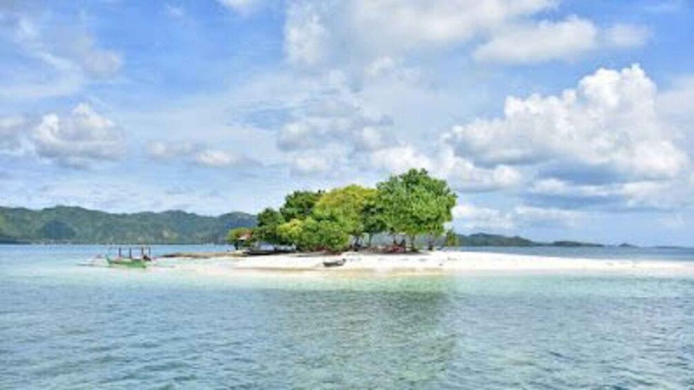 A tropical island with clear turquoise waters, a sandy beach, and lush green trees. 3
