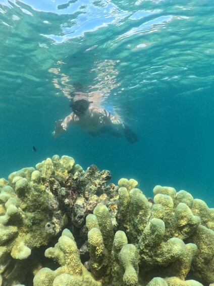 A person snorkeling underwater with a coral reef in the foreground. 3