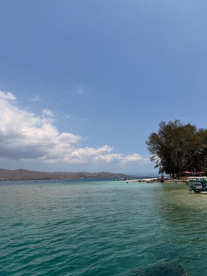 A calm sea with boats, a beach, and a tree-lined shore. 2