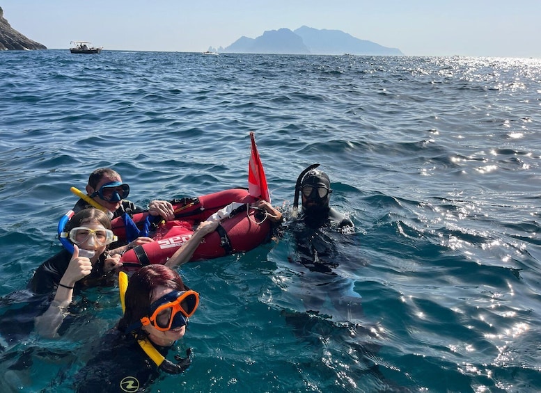 Picture 11 for Activity Sorrento: Afternoon Snorkeling Tour with Marine Biologist 2
