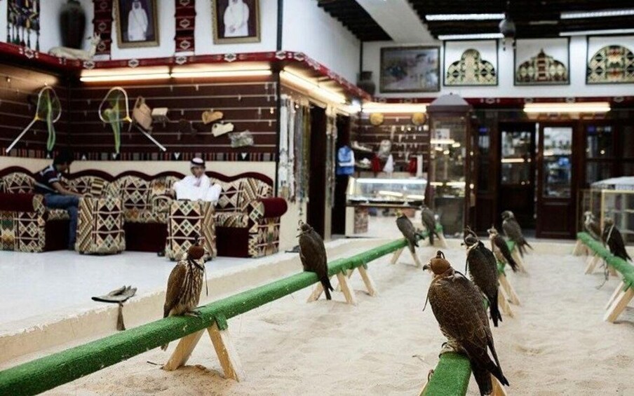 Een museum met tentoongestelde vogels. 3