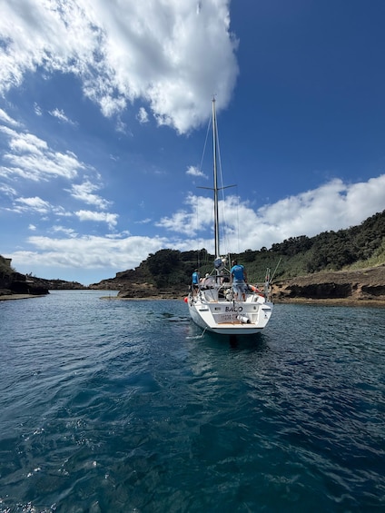 Full Day: Sailing Tour with Lunch & Snorkeling Included 1