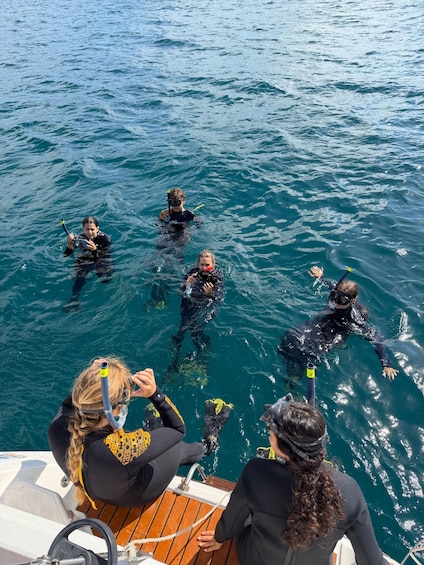 Picture 4 for Activity Full Day: Sailing Tour with Lunch & Snorkeling Included 3