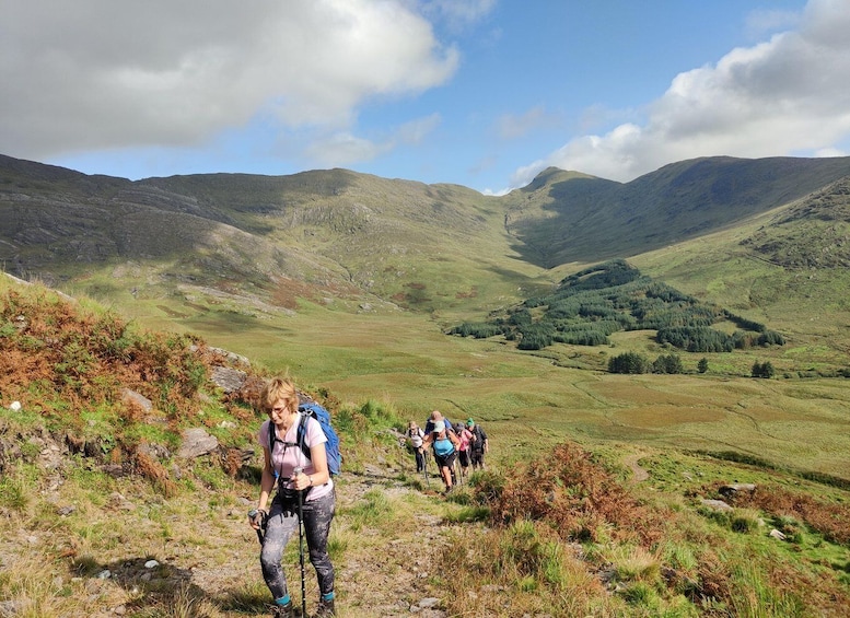 Picture 7 for Activity Hike the Wild Side of Kerry: Hidden Gems with Local Expert 2