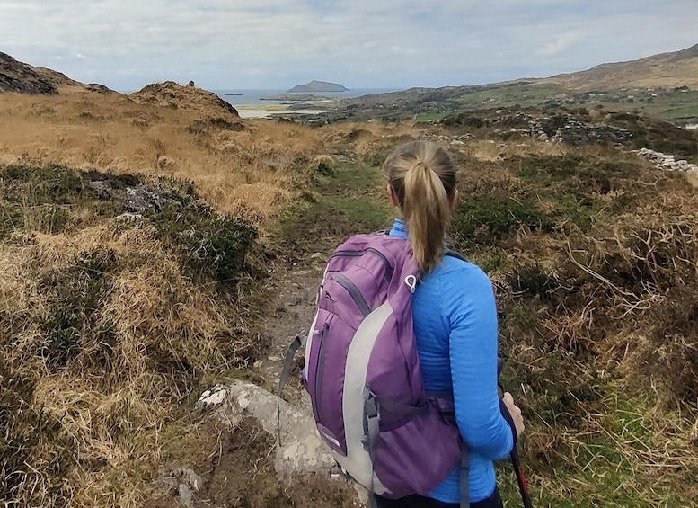 Picture 1 for Activity Hike the Wild Side of Kerry: Hidden Gems with Local Expert 4