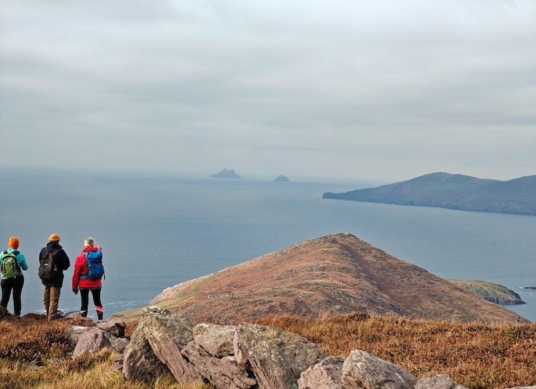 Picture 2 for Activity Hike the Wild Side of Kerry: Hidden Gems with Local Expert 3