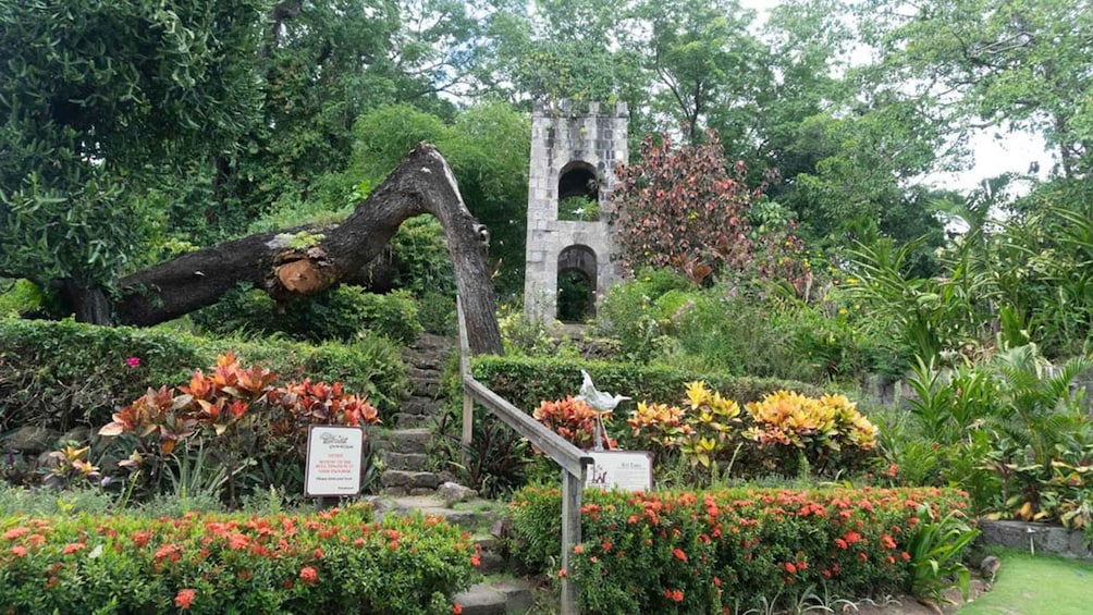 A garden with a stone archway, flowering plants, and a large tree trunk. 2